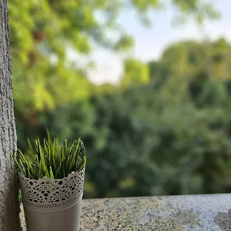 Meraki Apartment